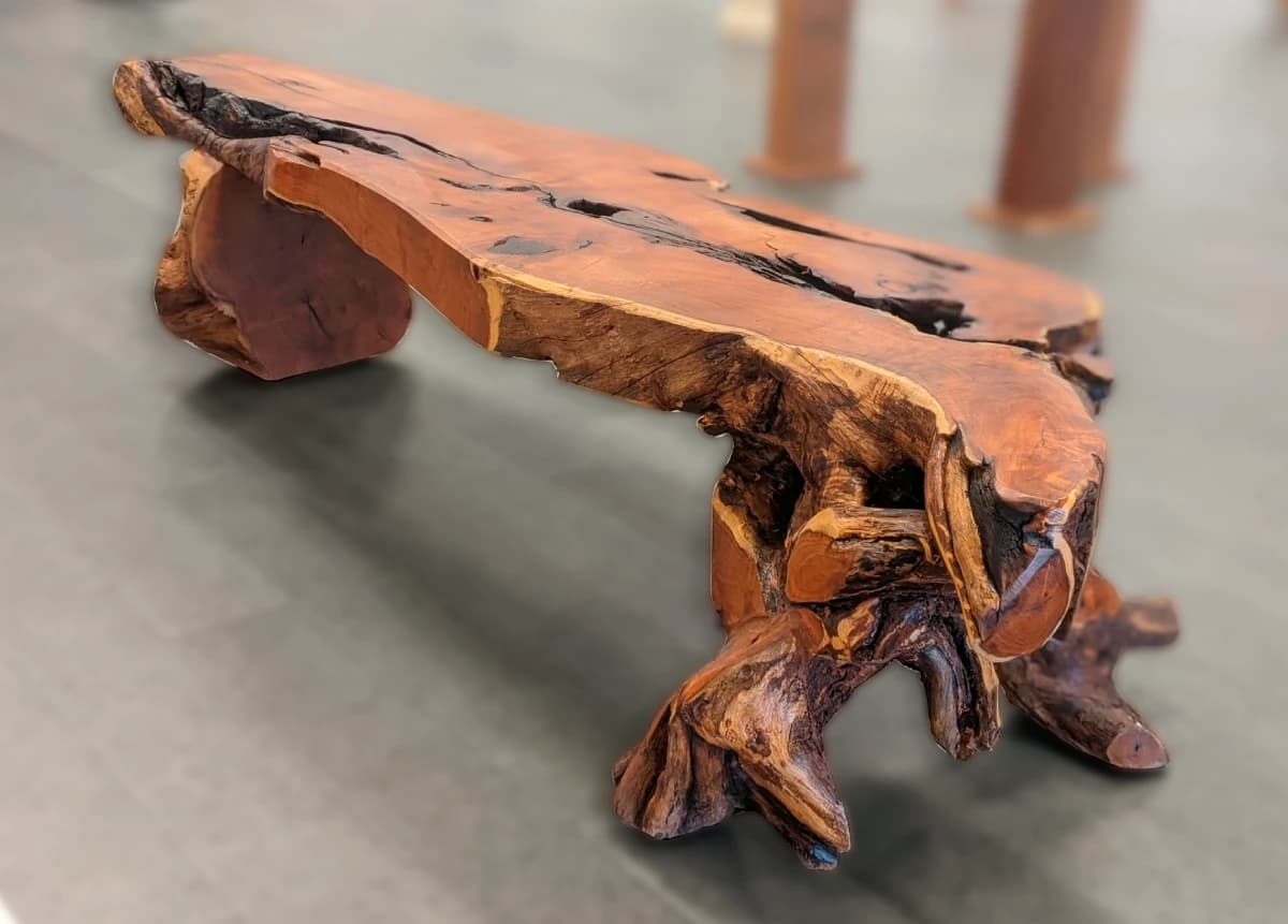 Live-edge parota wood bench on the gallery floor at El Dorado Gallery