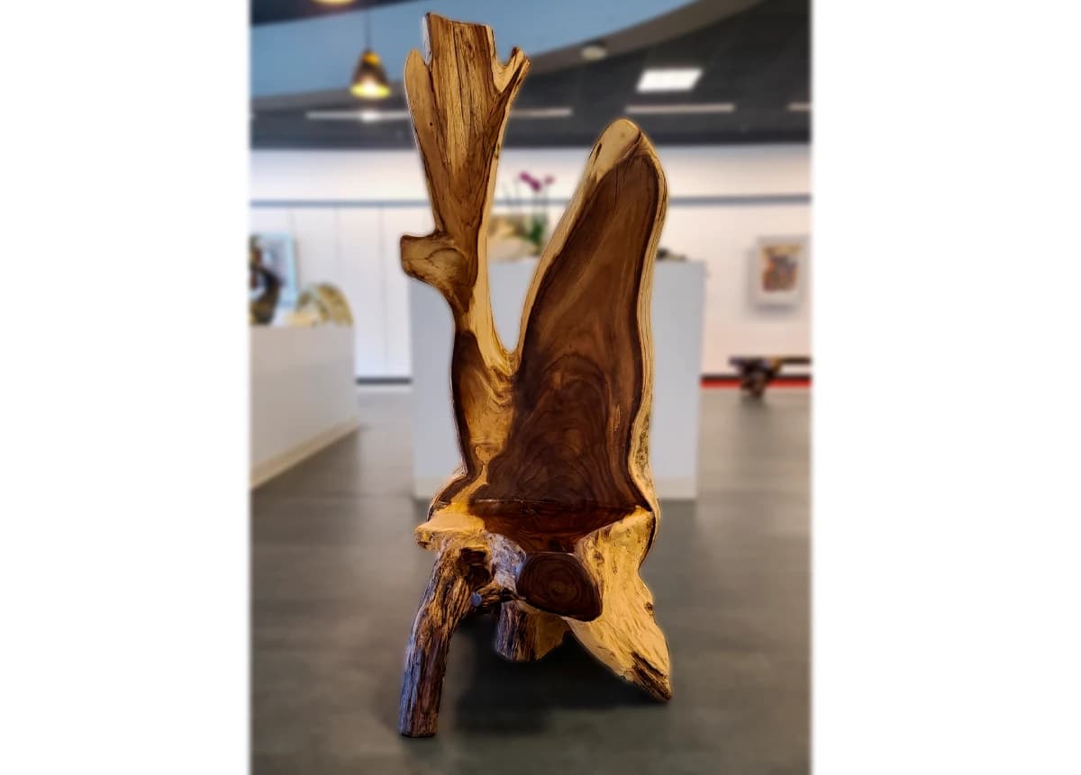 Sculptural parota wood chair inside El Dorado Gallery at Hill Country Galleria